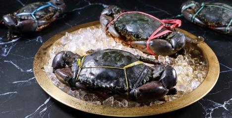 9s seafood
