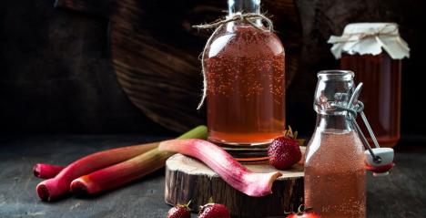 kombucha