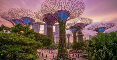 Gardens By The Bay In Singapore