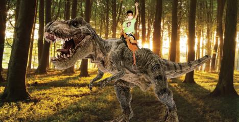 Embark on an Exciting Year-end Adventure in the Heartland