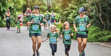 Mandai Wildlife Run