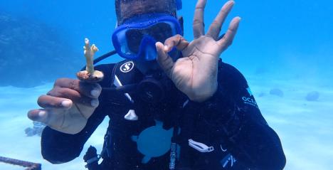 Securing Mnemba Atoll: A New Chapter in Coral Conservation