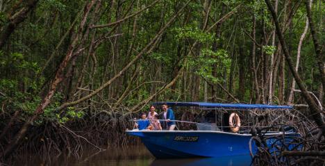 Desaru_Coast Mangroves Tour Destination Experience
