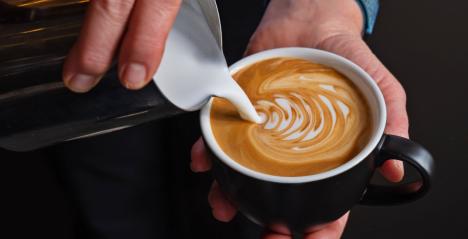 Best Cafes In Sydney_image  credit: Wholegreen Bakery