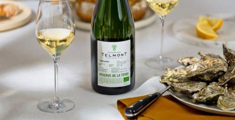 Maison Telmont Leads with Réserve de la Terre in Organic Champagne Innovation