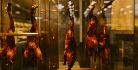 Where to Find the Best Bebek Goreng in Singapore for an Authentic Taste of Indonesia