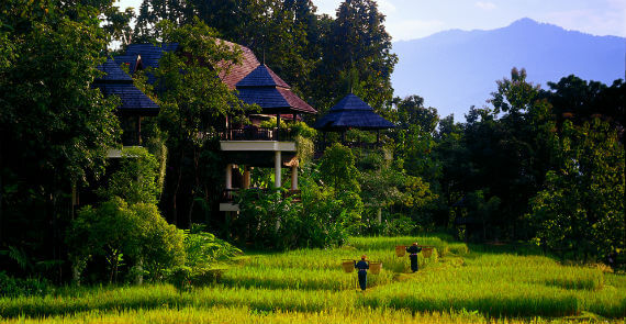 Chiang Mai