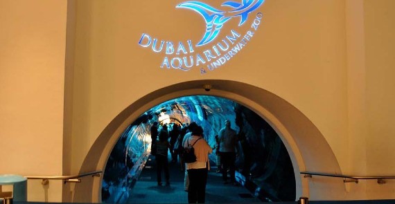 Dubai Aquarium and Underwater Zoo