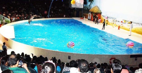 Dubai Dolphinarium