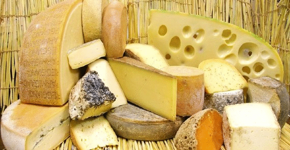 Gourmet Cheese Shop Online