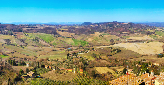 Tuscan Hillside