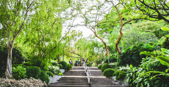 Sungei Buloh Wetlands