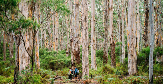 Margaret River On Tour