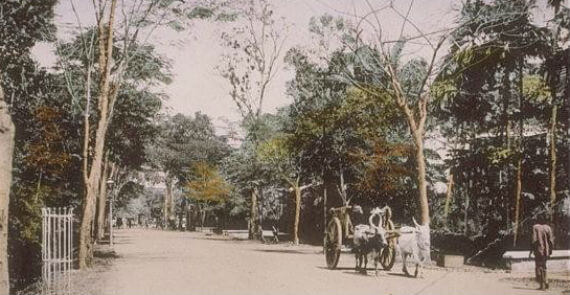 Orchard Road Old