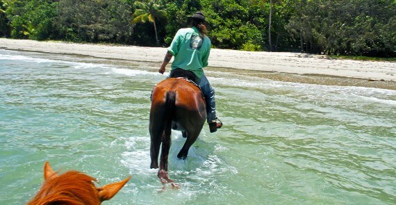 Horse riding in surf Cape Tribulation