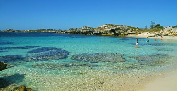 Panorama Swimming Rottnest Island