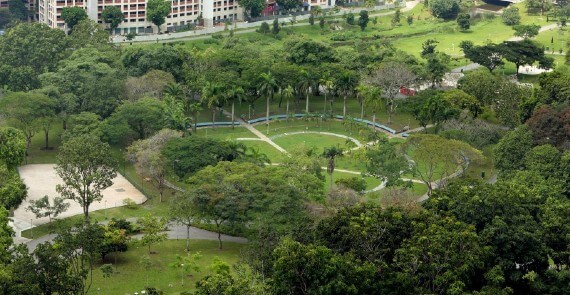 Bishan - Ang Mo Kio Park