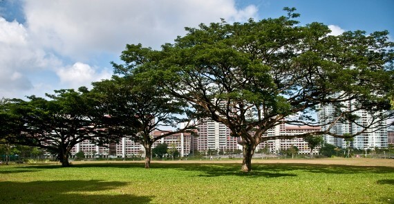 Bishan-Ang Mo Kio Park