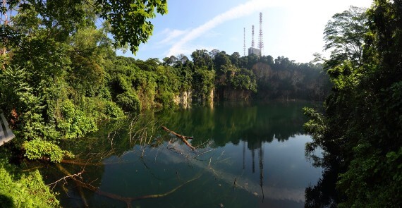 Bukit Timah Nature Reserve