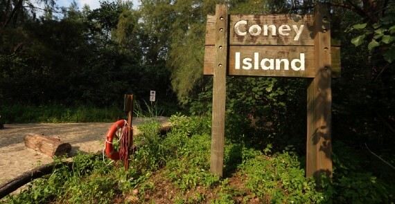 Coney Island Park