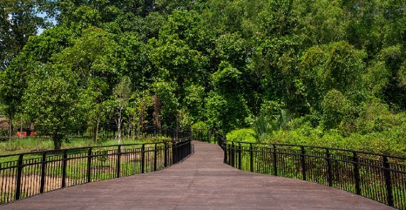 Hampstead Wetlands Park