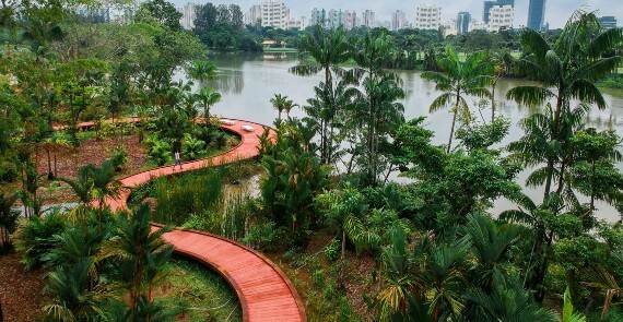 Jurong Lake Gardens