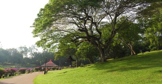 MacRitchie Reservoir Park