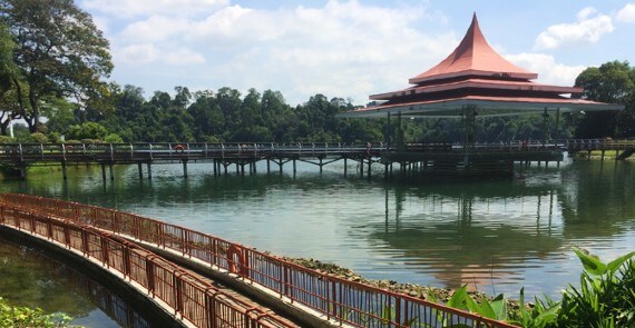 MacRitchie Reservoir Park and Nature Reserve