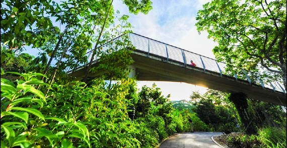 Singapore Botanic Gardens