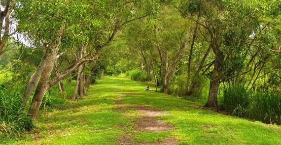 Tampines Eco Green