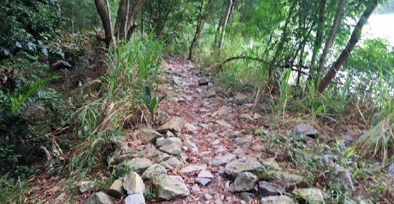 Tampines Quarry