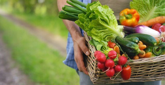 The Farmers Market