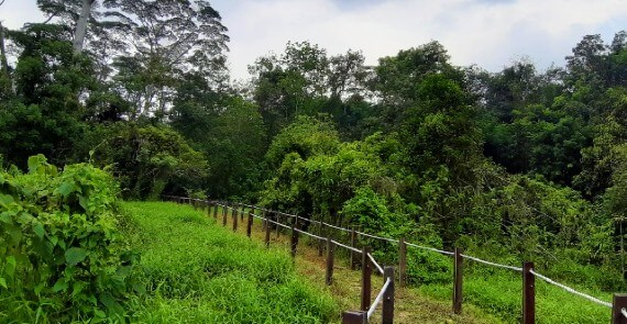 Thomson Nature Park