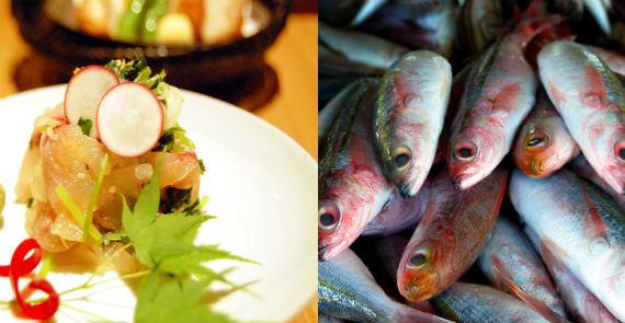 Fish To Table
