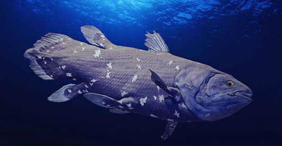 Mutant Fish of the Ocean