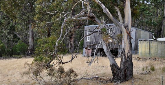The shack in Tasmania