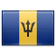 User Flag